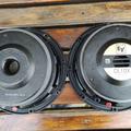 IMG_20211014_133516.jpg