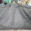 DSC09143.JPG
