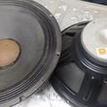 IMG_20230127_112354.jpg