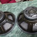 IMG_20220215_115821.jpg