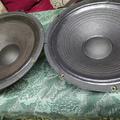 IMG_20220215_115638.jpg