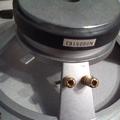 IMG_20201021_142106.jpg