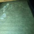 IMG_20210203_150050.jpg