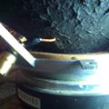 IMG_20201113_115245.jpg